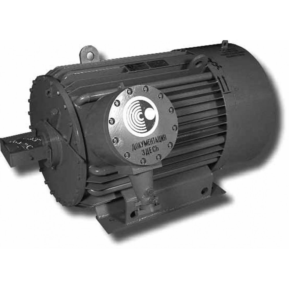 Электродвигатель  1ВАО-450М-4ДУ2,5   250 кВт, 1500 об/мин