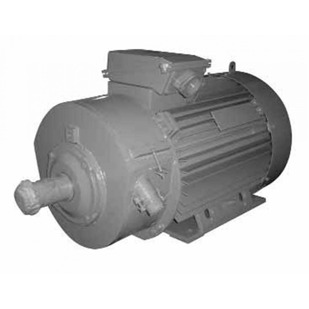 Электродвигатель 4МТН280L-10У1 75 кВт, 600 об/мин