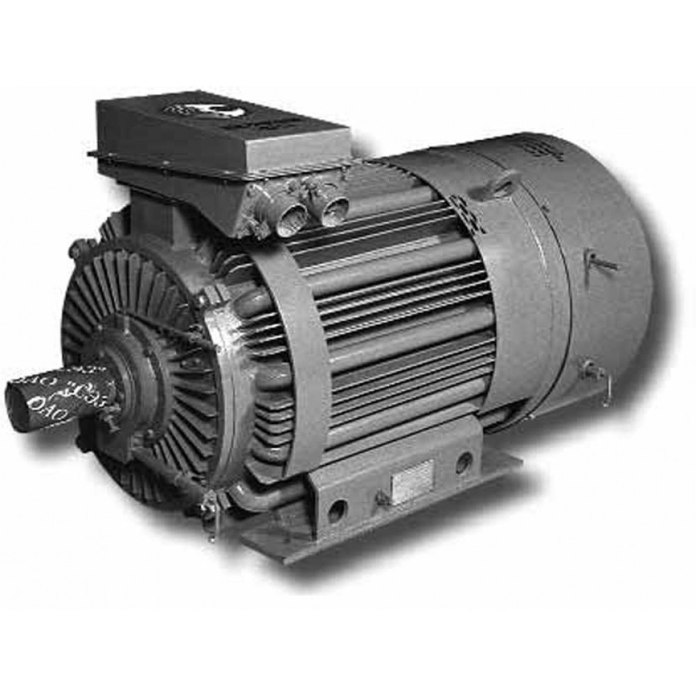 Электродвигатель  АОДН-355S-6У1   160 кВт, 1000 об/мин